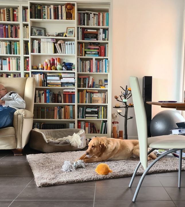 Bücherwand mit verschiebbaren Elementen in einem Wohnzimmer